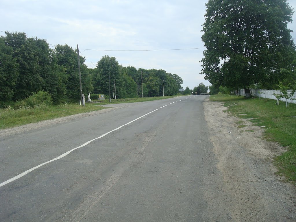266. Виньковцы