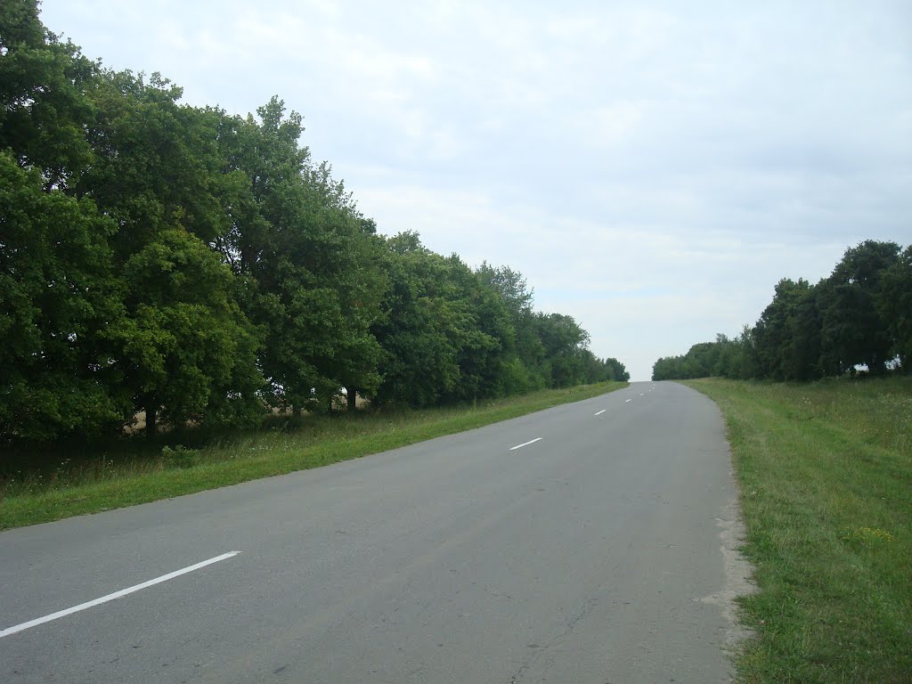 269. Трасса Солобковцы - Новая Ушица
