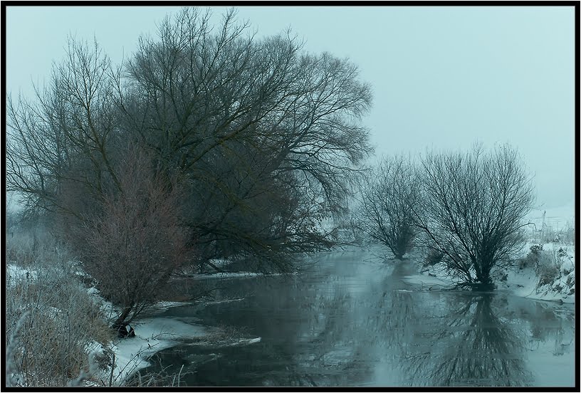 winter landscape