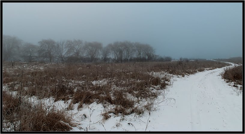 winter landscape
