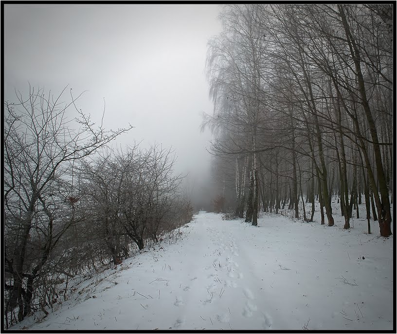 frosty morning
