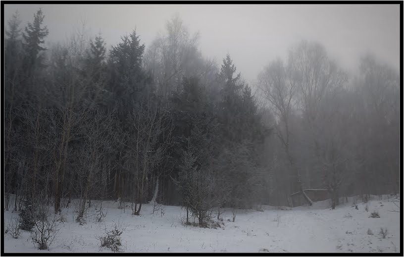 frosty morning