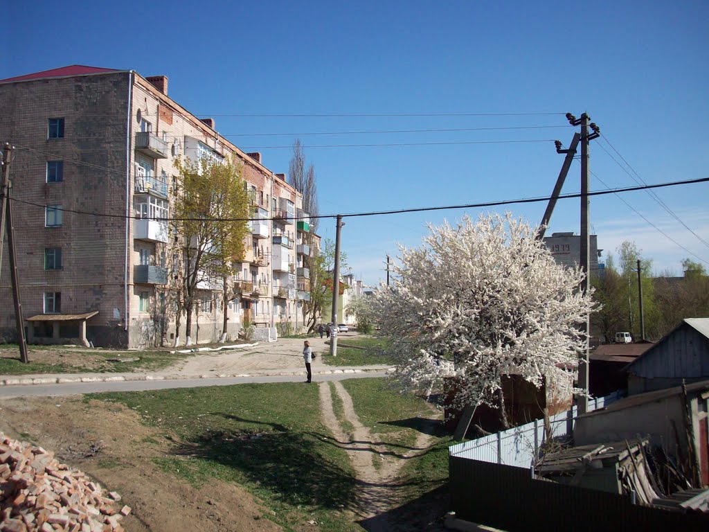 Пятиэтажки
