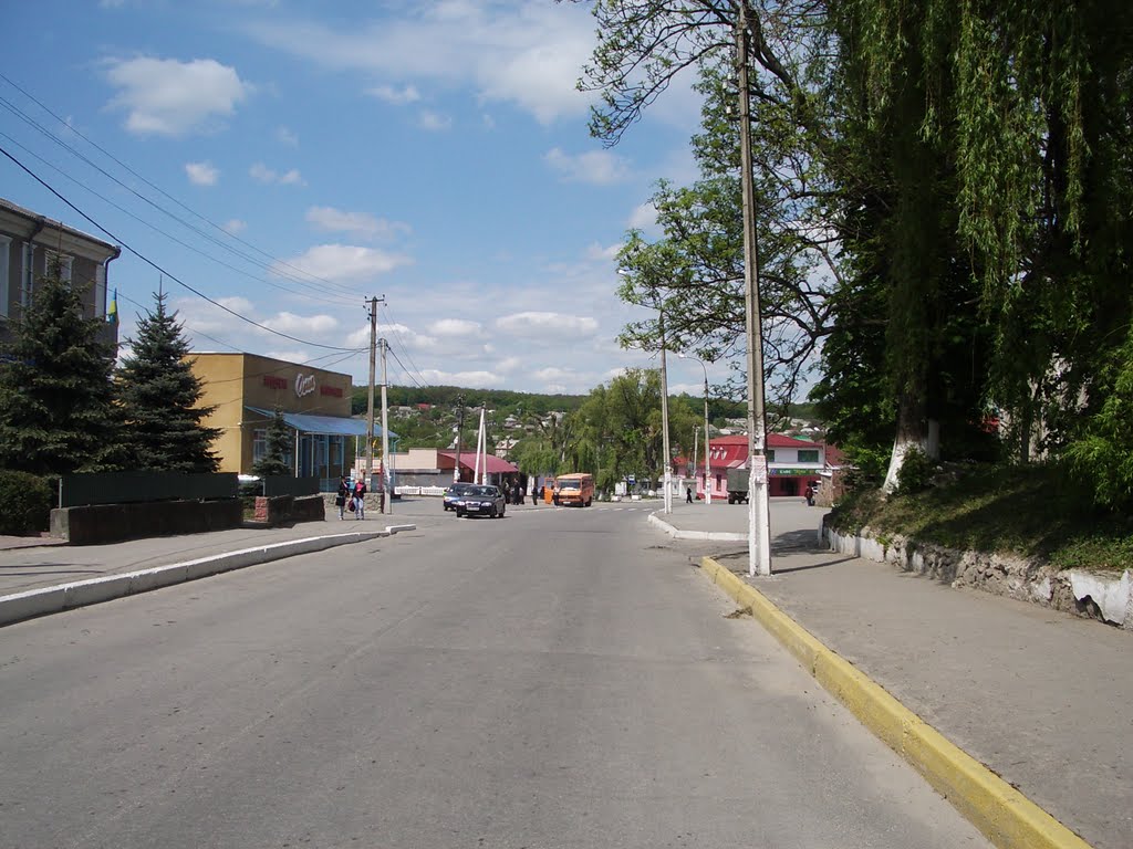Horodok. Street view. May, 2011