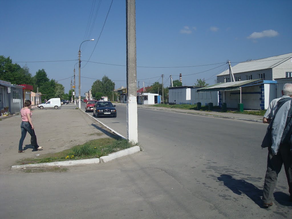 Городок, улица Олеся Гончара