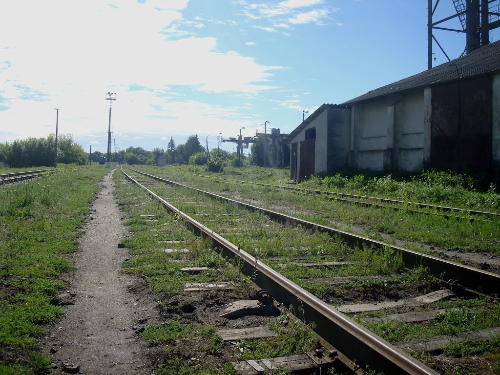 Станция Виктория. Вид в сторону Ярмолинцев