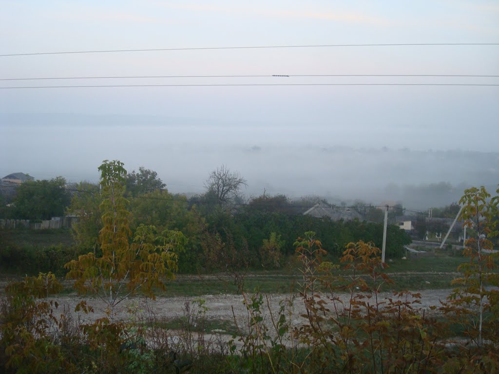 Городок в тумане