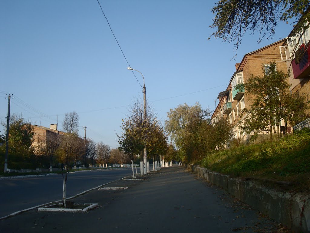 Городок, улица Шевченко