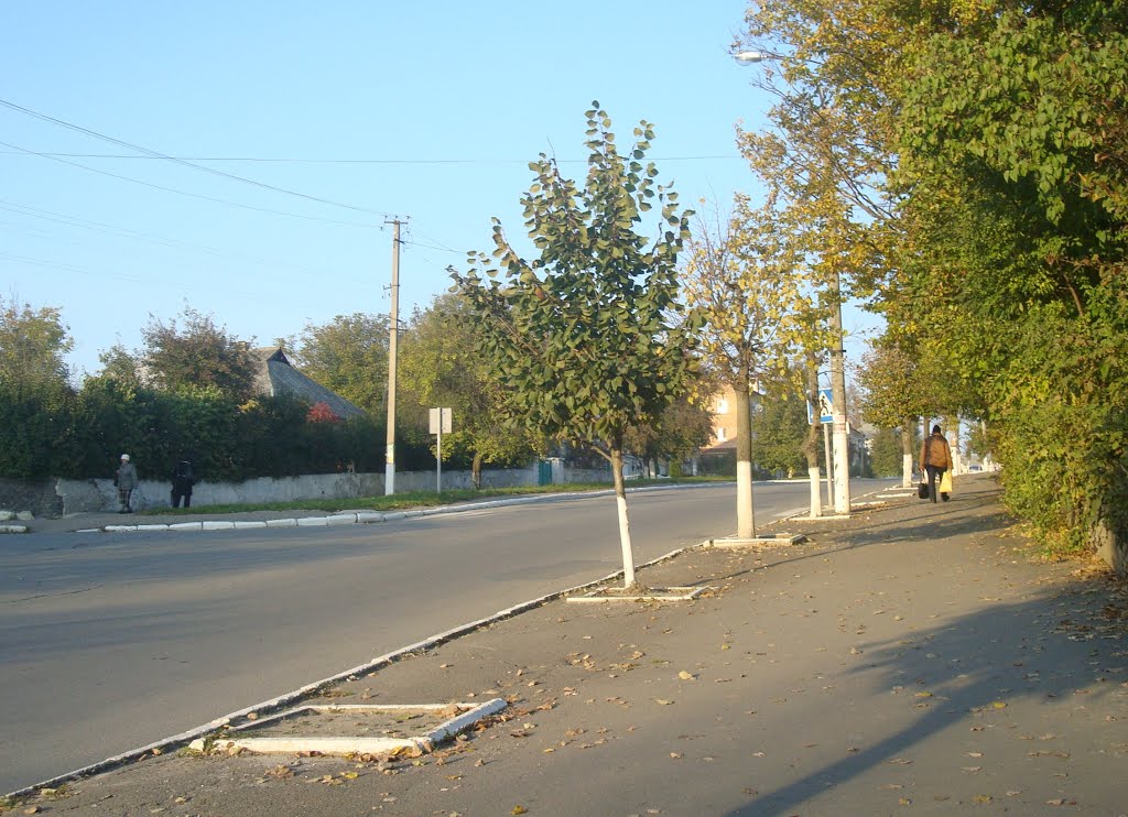 Городок, улица Шевченко