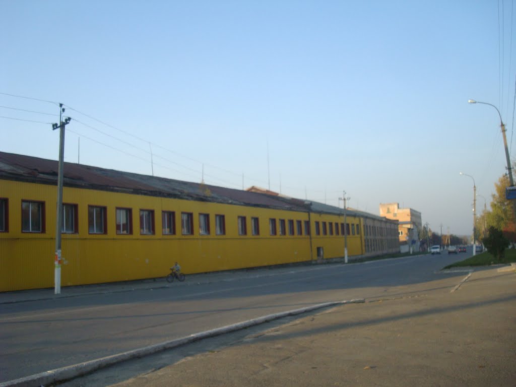 Городок, улица Шевченко