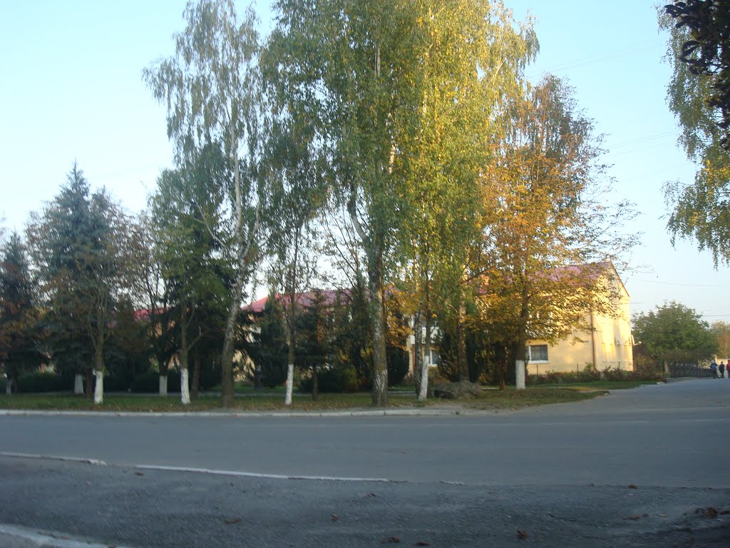 Городок, улица Шевченко