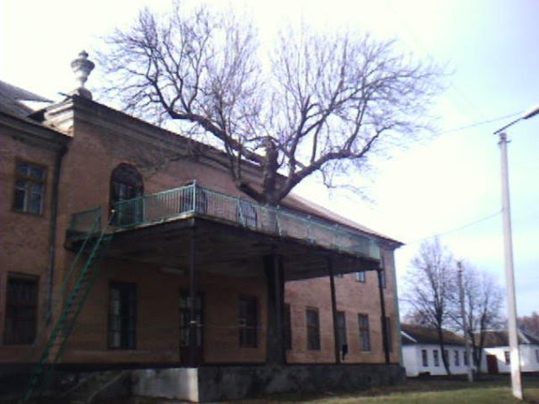 Hrytsiv