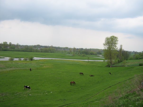 берег