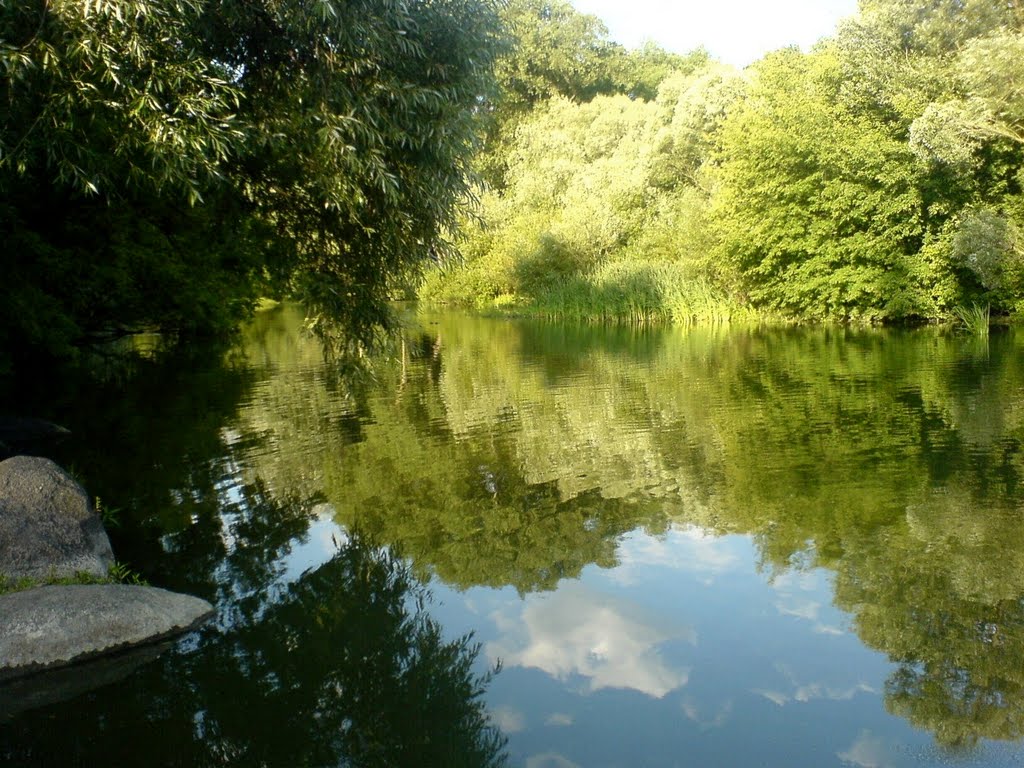 Старий парк