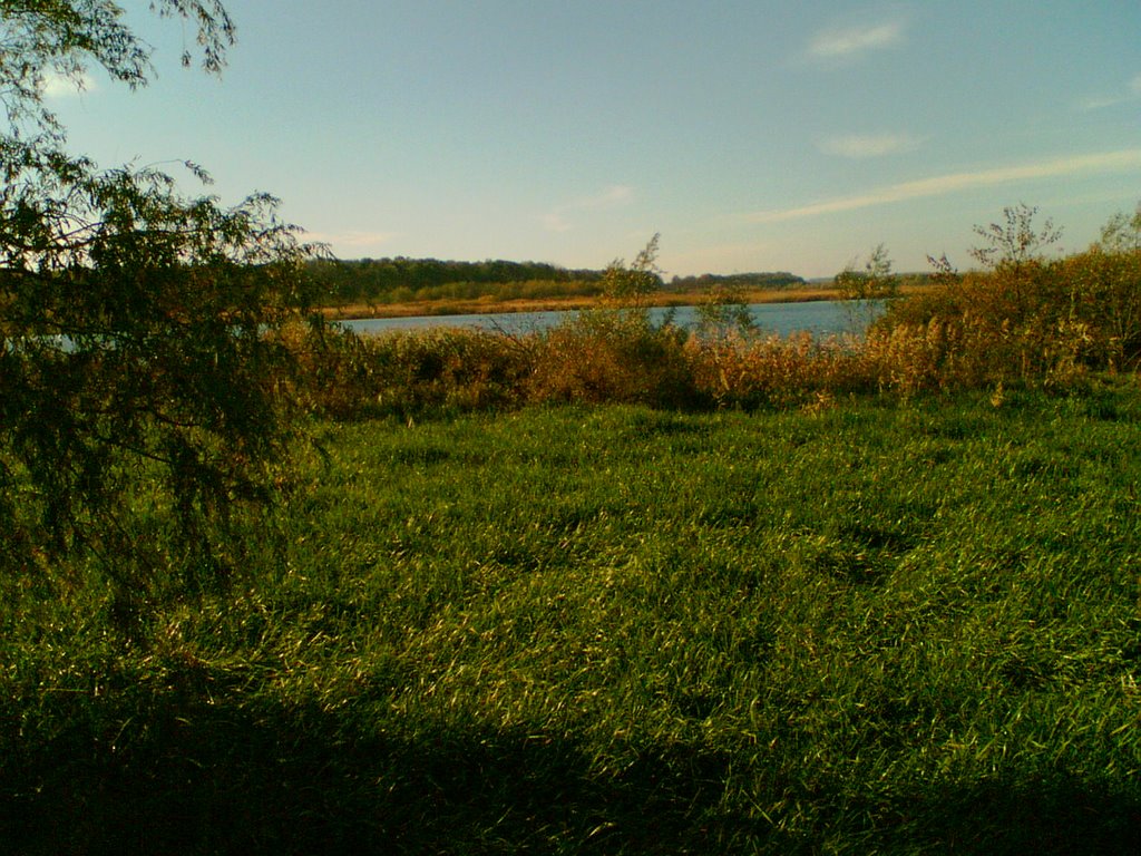 ставок(р.Вовк)_2