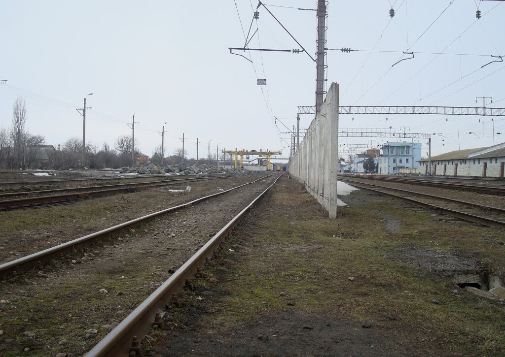 Станция Деражня. Площадка для погрузки леса