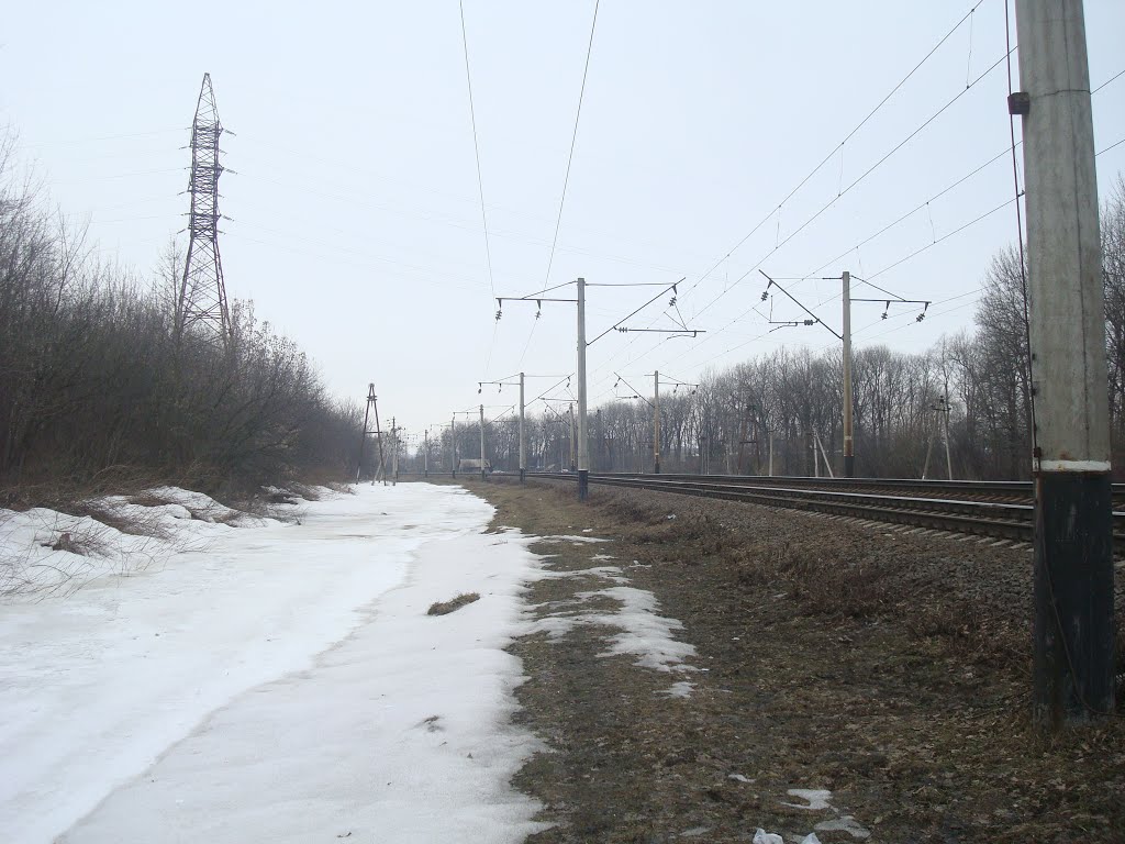 Letychiv