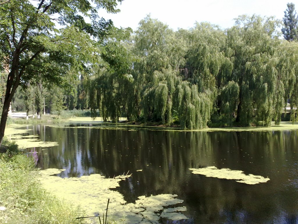Пруд на территории ЦРБ