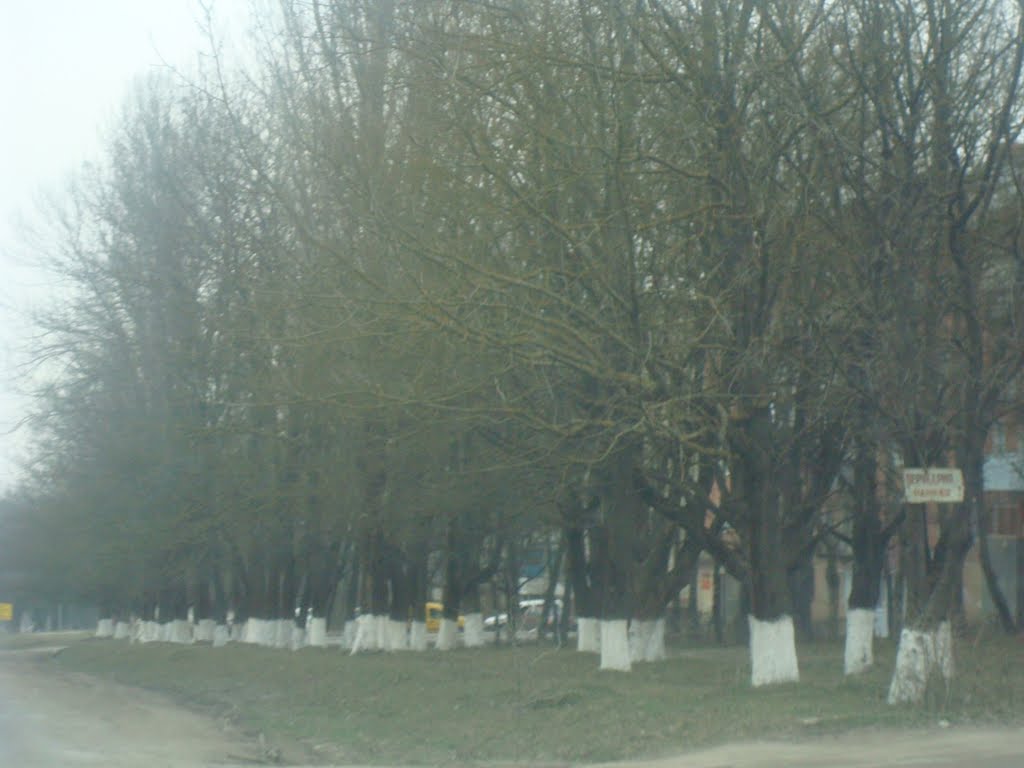Дорога в Дунаевцах на Новую Ушицу