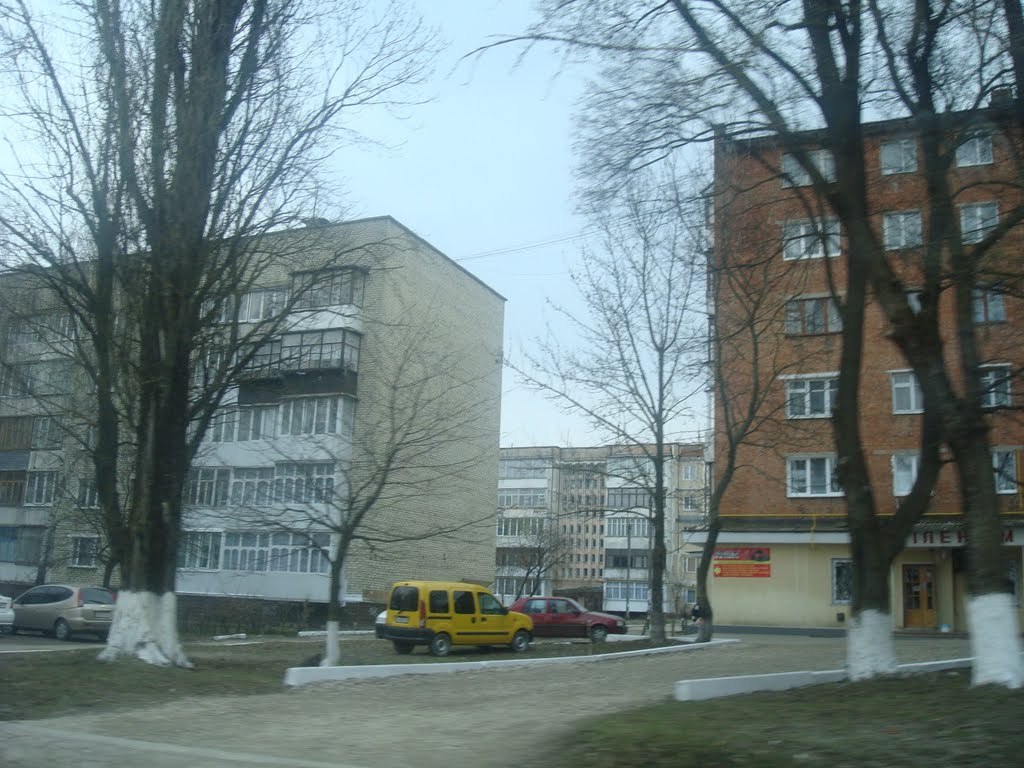 Жилые дома в Дунаевцах