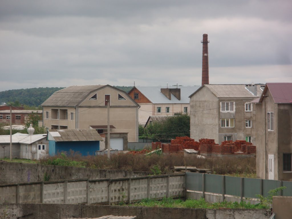 Dunayivtsi