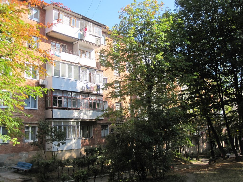 20-ий дом