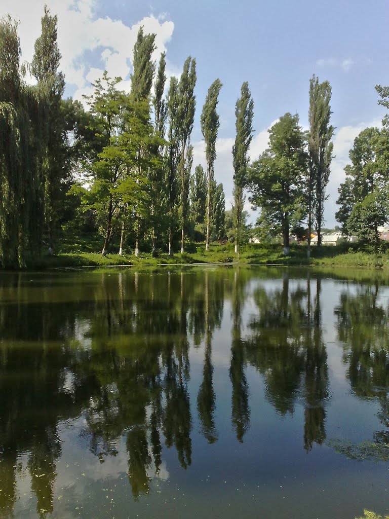 Pond near the hospital