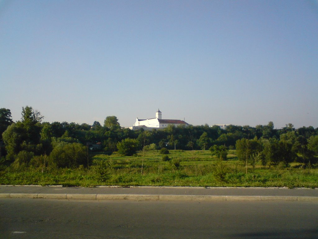 Кабардинский дворец, ныне ЗОНА