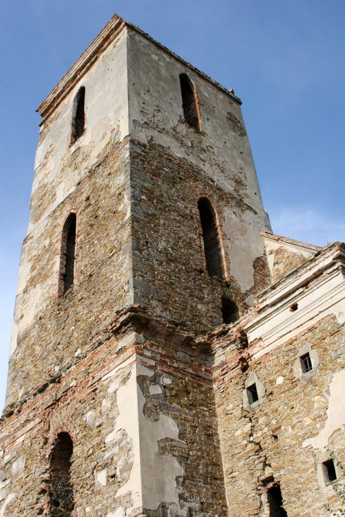 Костел в Ізяславі
