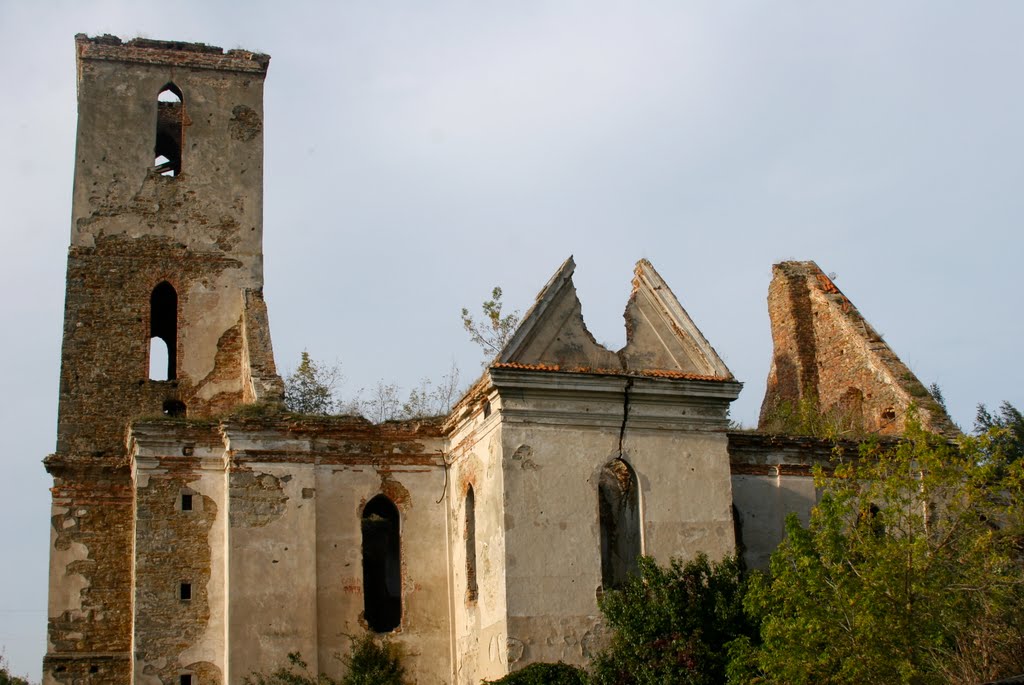 Руїни костелу в Ізяславі