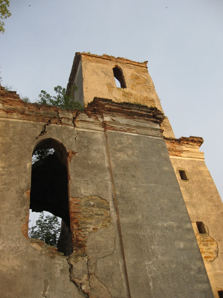 ruins of the old church ♦ руїни старого костелу