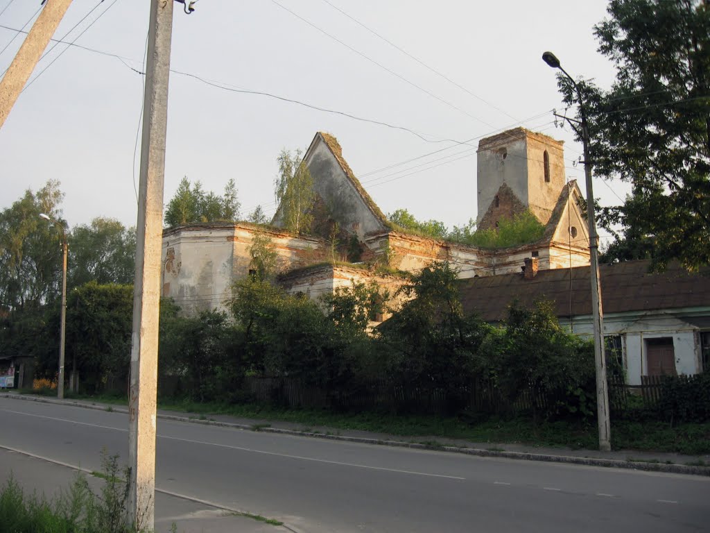 ruins of the old church ♦ руїни старого костелу