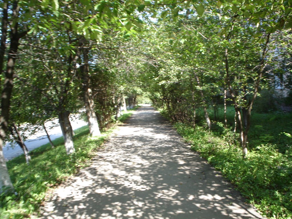 Зелена алея