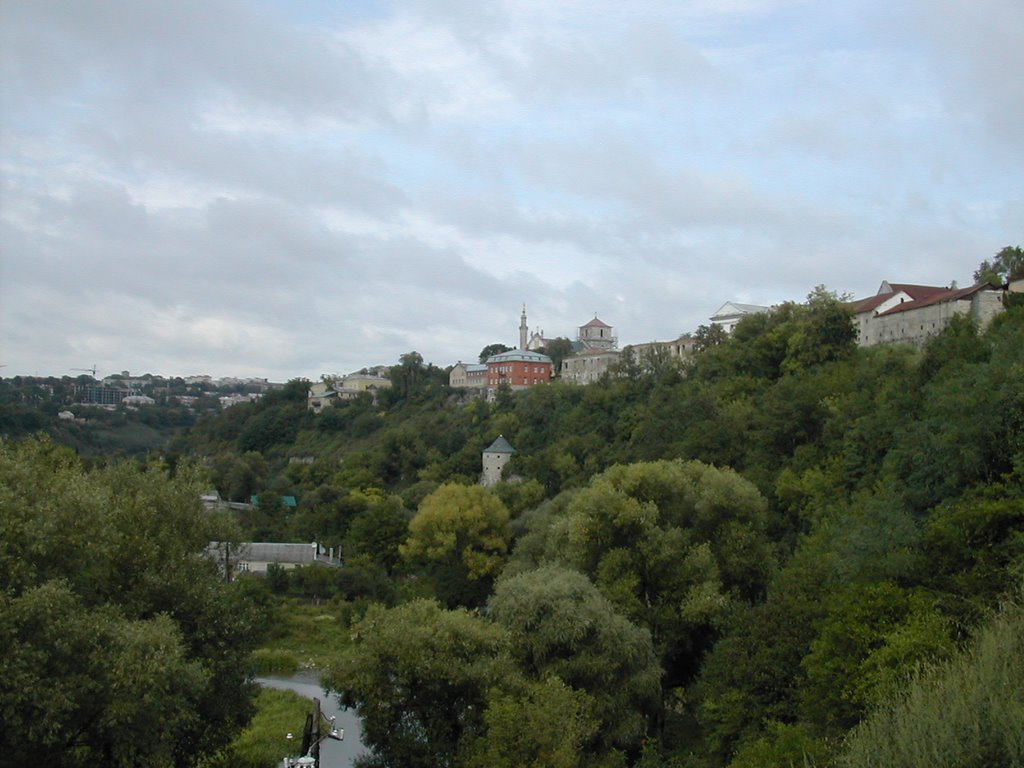 Canyon of Smotrich river