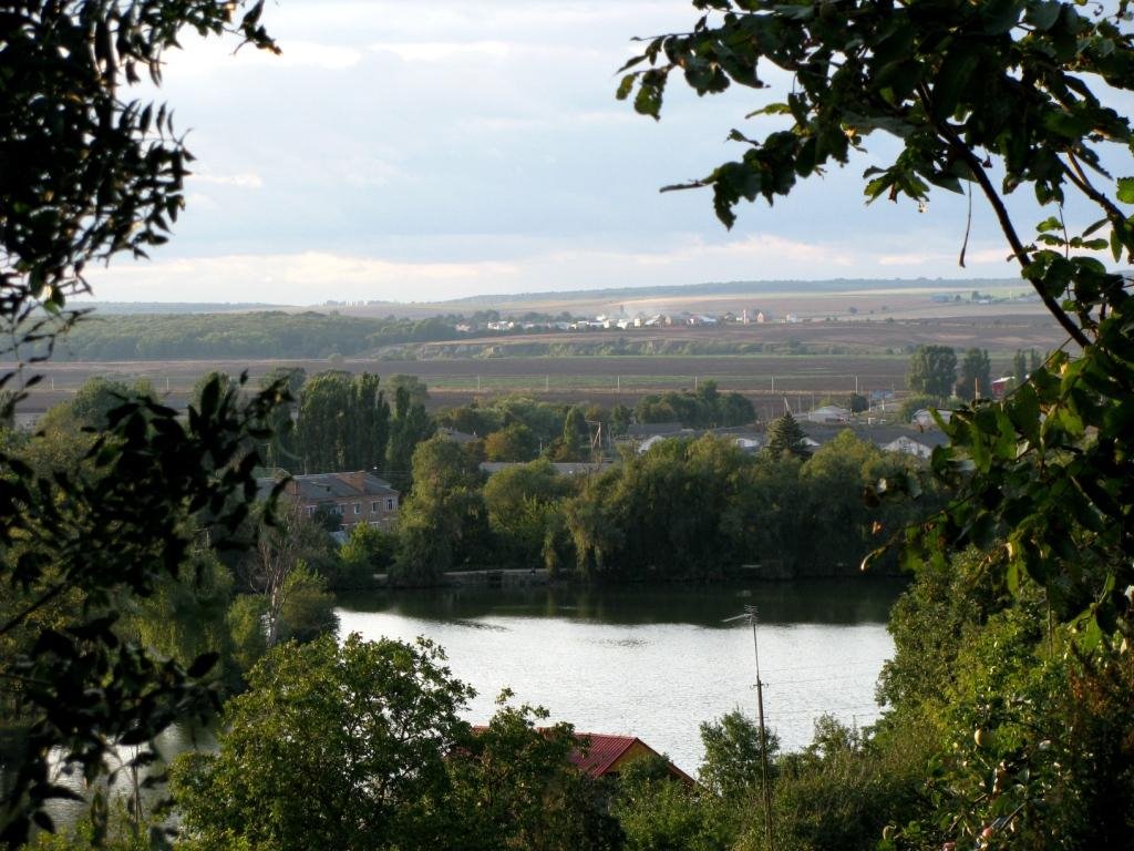 Калюків став