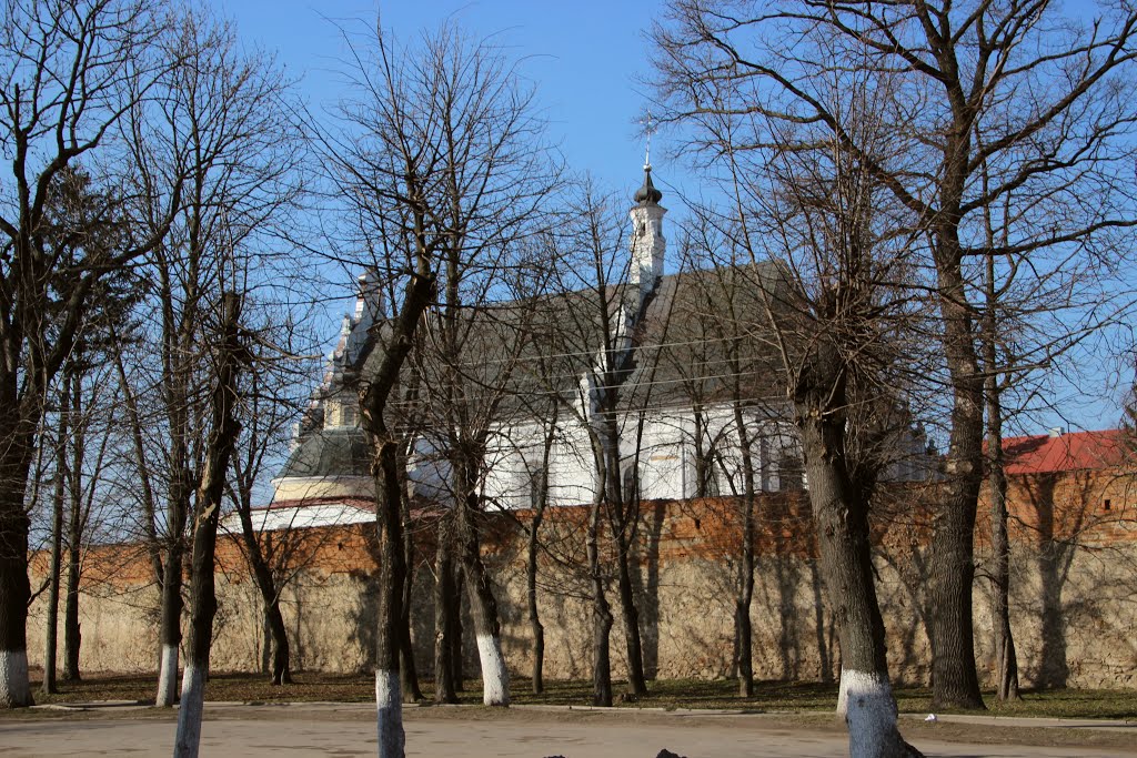 Летичевский замок. Старый Успенский костёл, потом - Доминиканский монастырь, ныне - Санктуарий Летичевской Богородицы.
