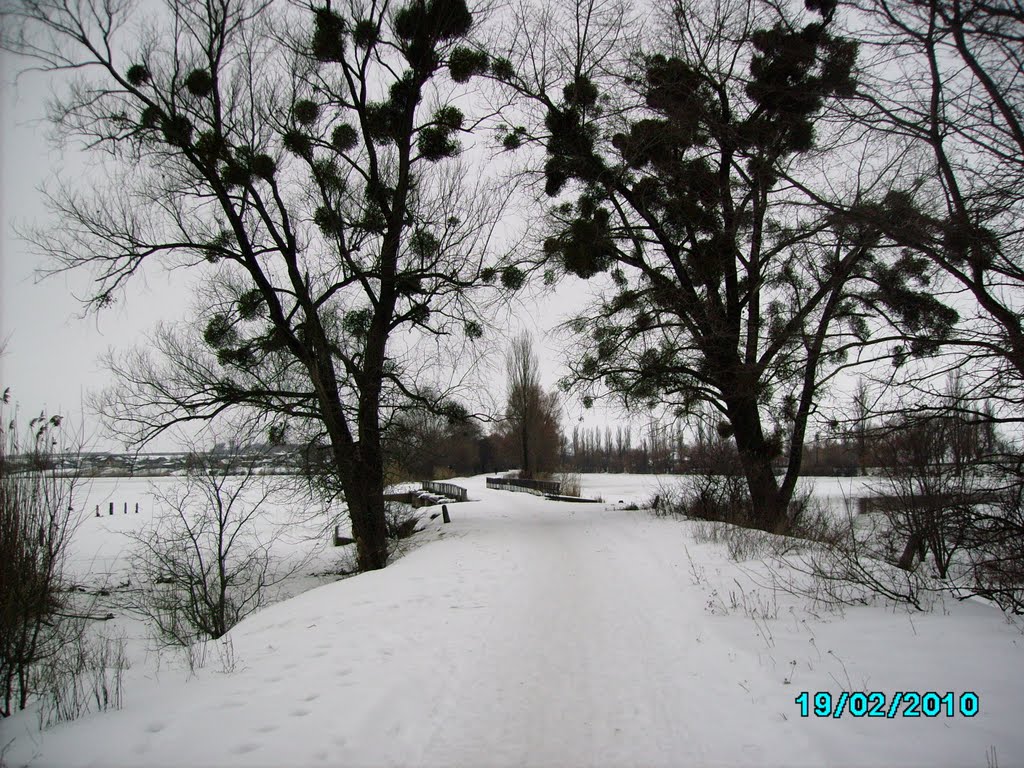 Дорога на Завовк взимку.