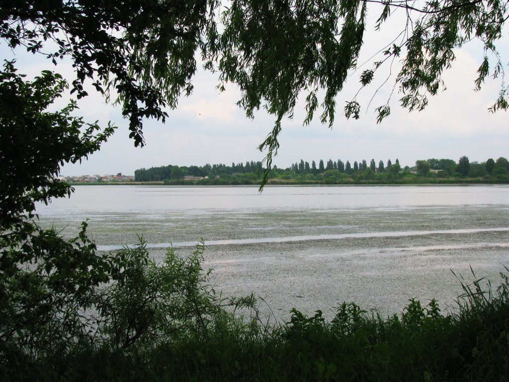 Водоём в Летичеве