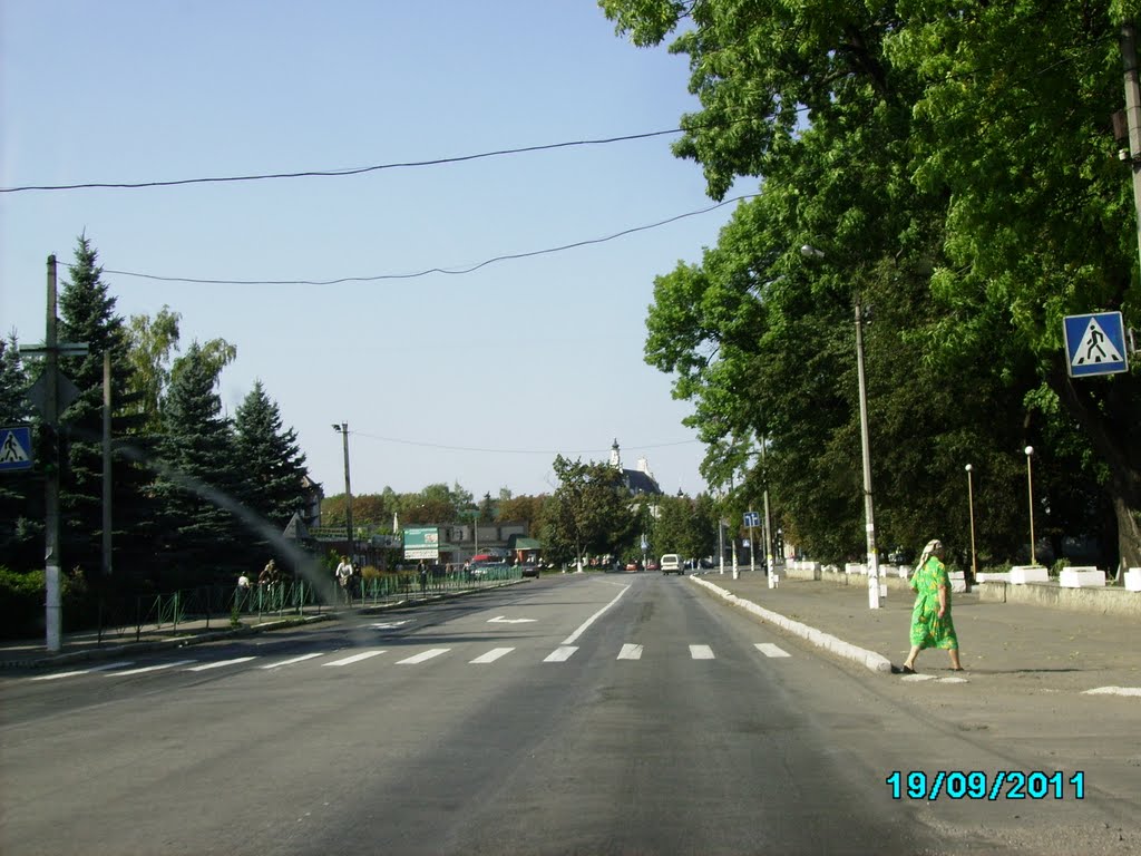 Летичев (дорога М-12)