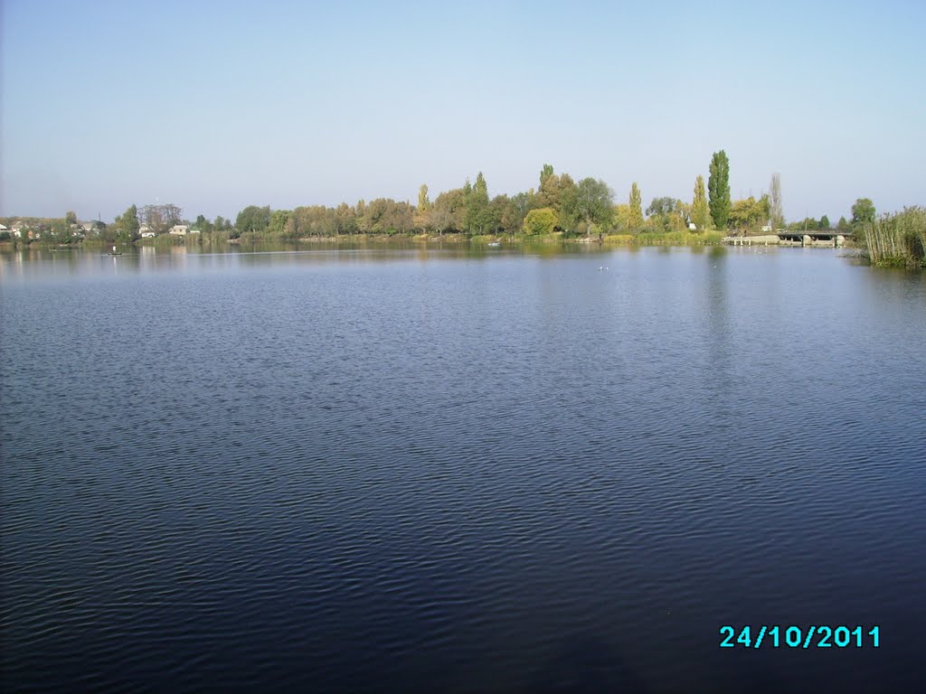 р.Волк (утро)