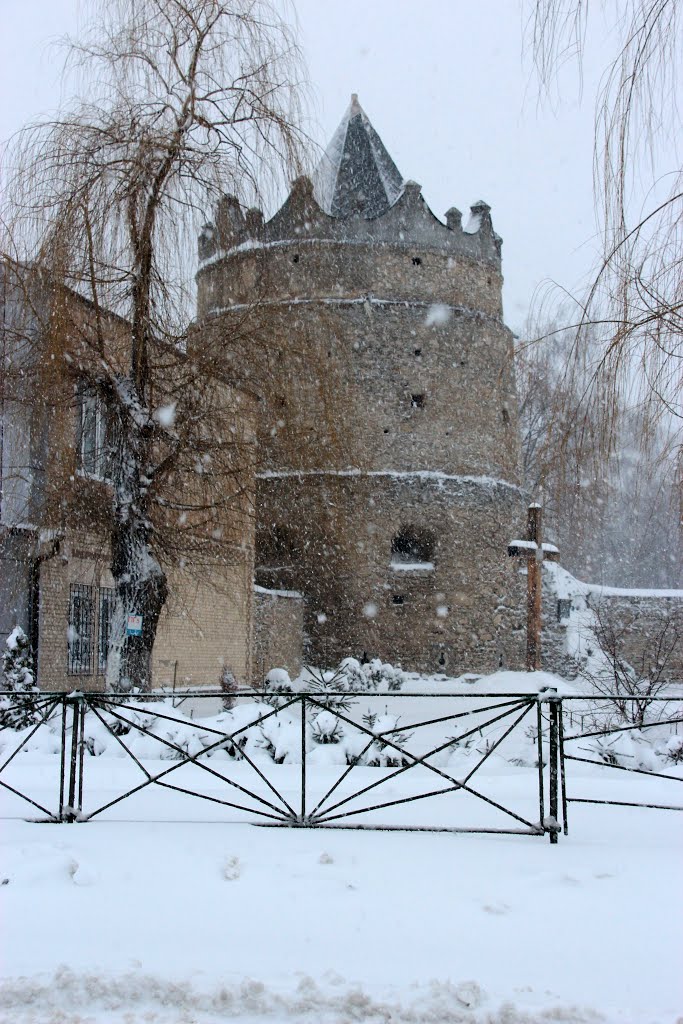 Ukraine, Letychiv, Tower Karmaliuk