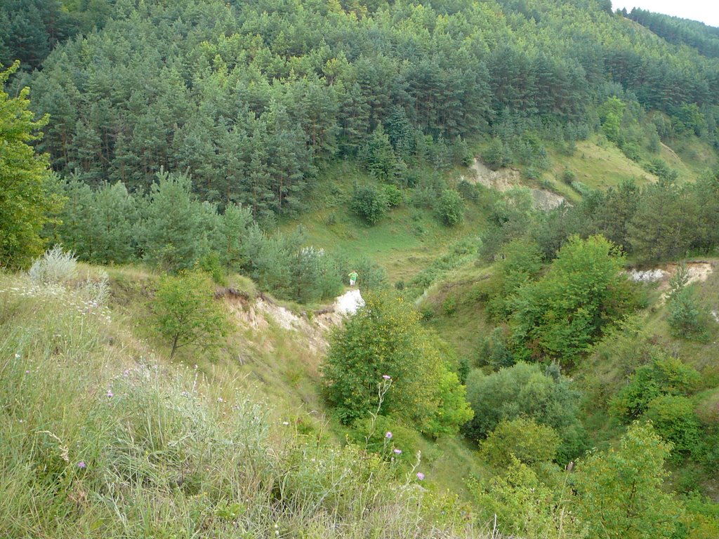 Майже Карпати