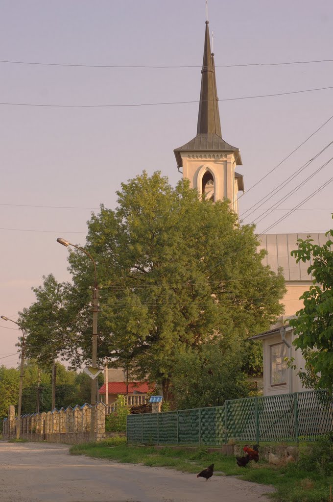 Nova Ushytsia and Brailivka