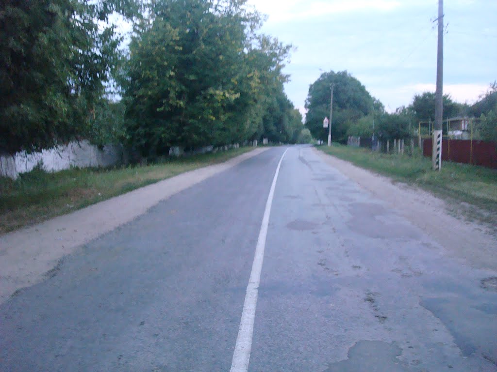 347. Новая Ушица.