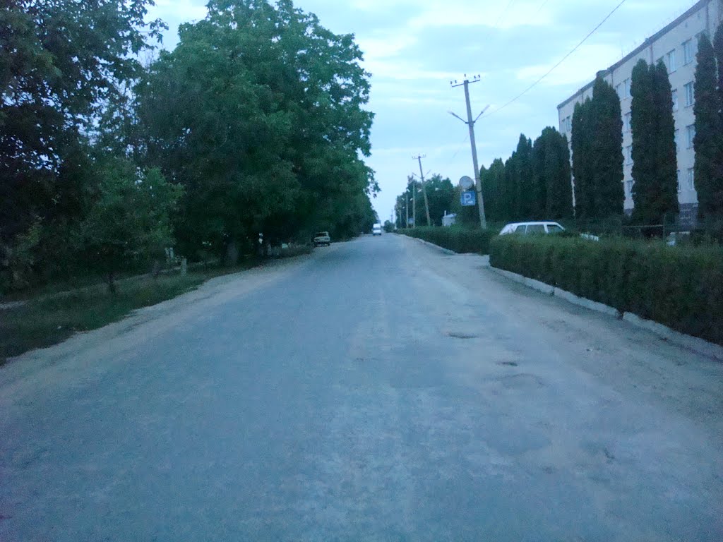 350. Новая Ушица. Вечер.