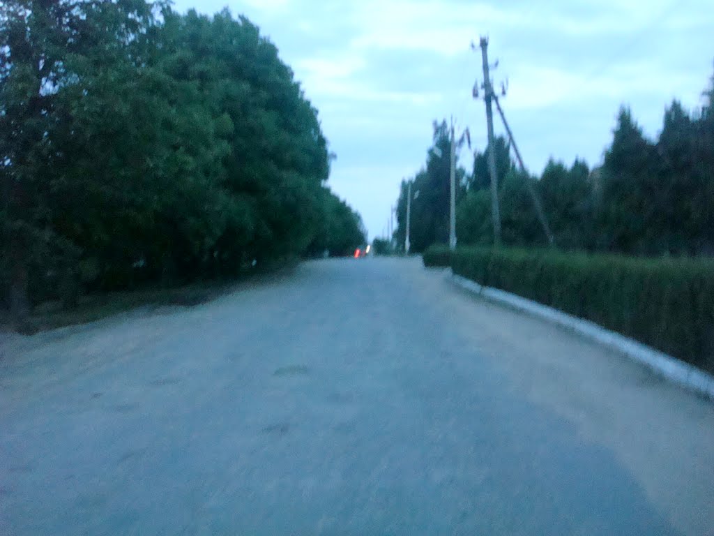 351. Новая Ушица. Вечер.