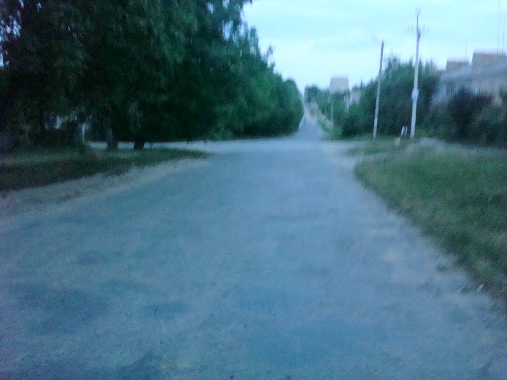 352. Новая Ушица