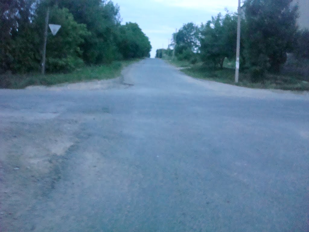 353. Новая Ушица