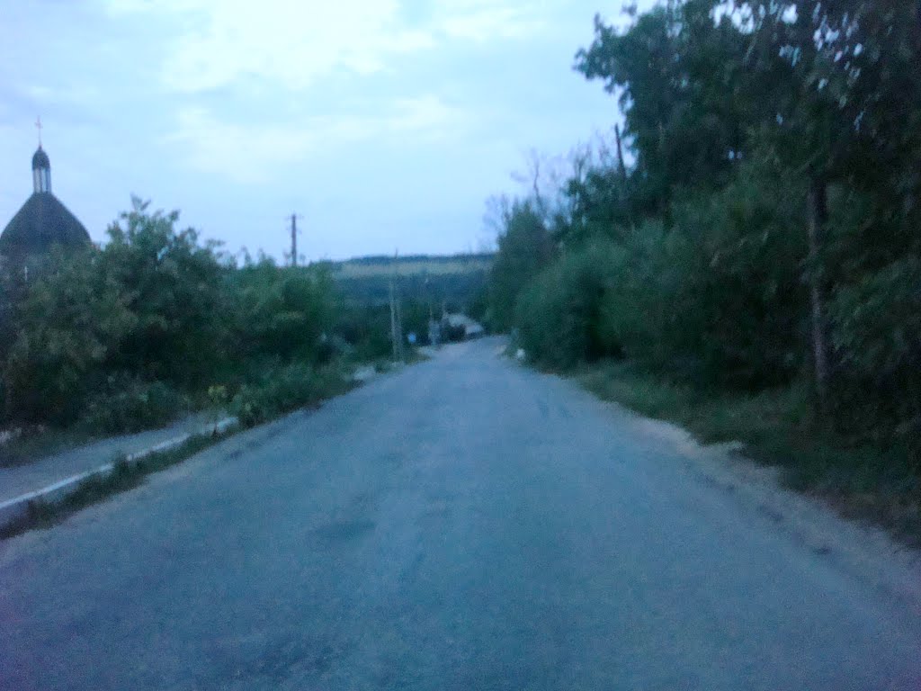 Nova Ushytsya