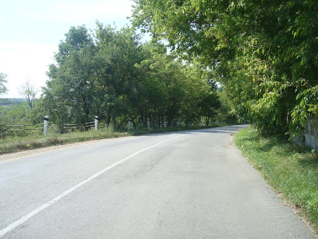 366. Новая Ушица